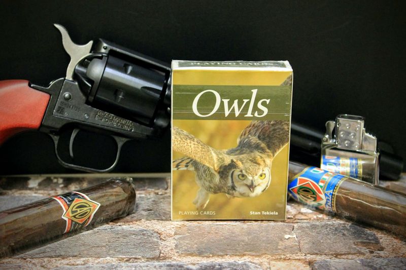 Owls Playing Cards
