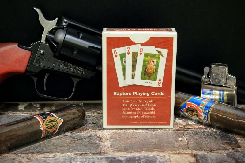 Raptors Playing Cards