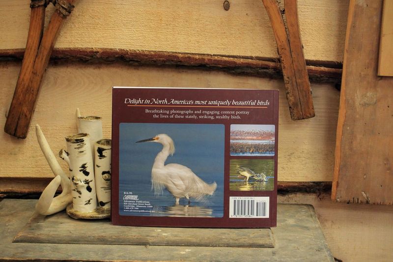 Cranes, Herons, and Egrets by Stan Tekiela