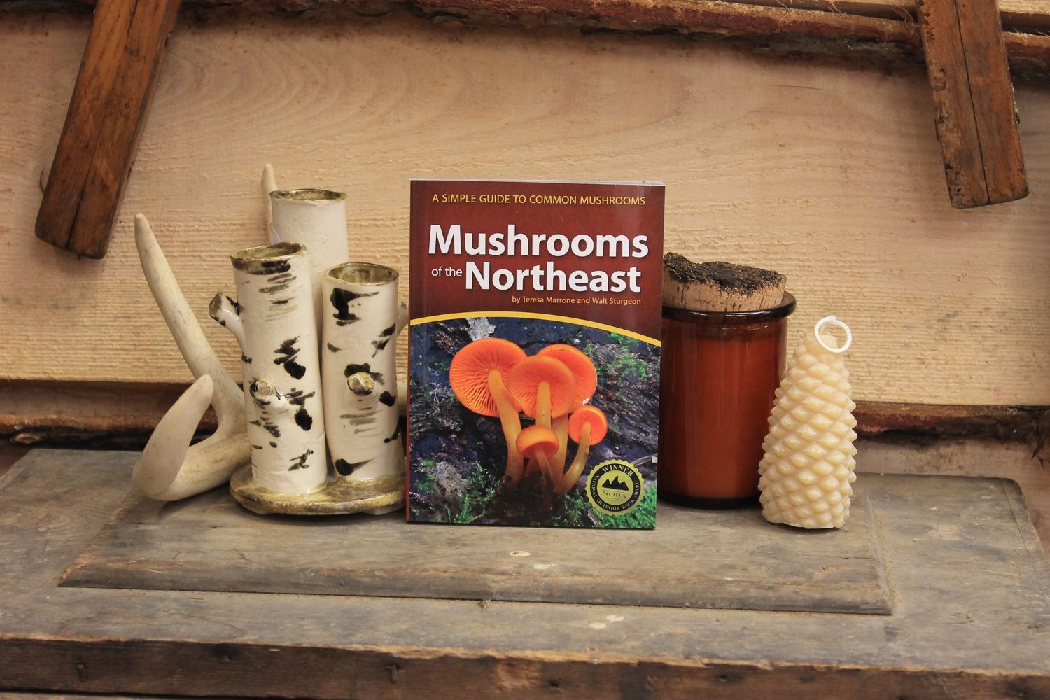 Mushrooms of the Northeast by Teresa Marone and Walt Sturgeon