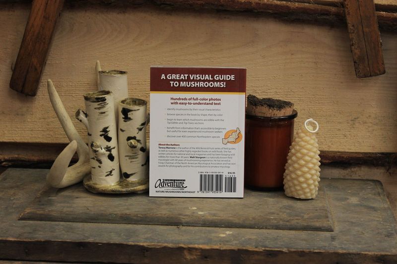 Mushrooms of the Northeast by Teresa Marone and Walt Sturgeon