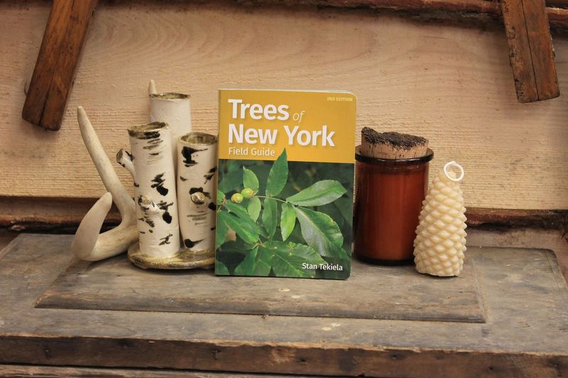 Trees of New York 2nd Edition by Stan Tekiela