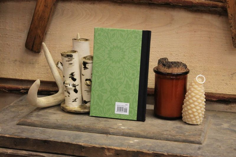 A Wind-Storm in the Forests by John Muir