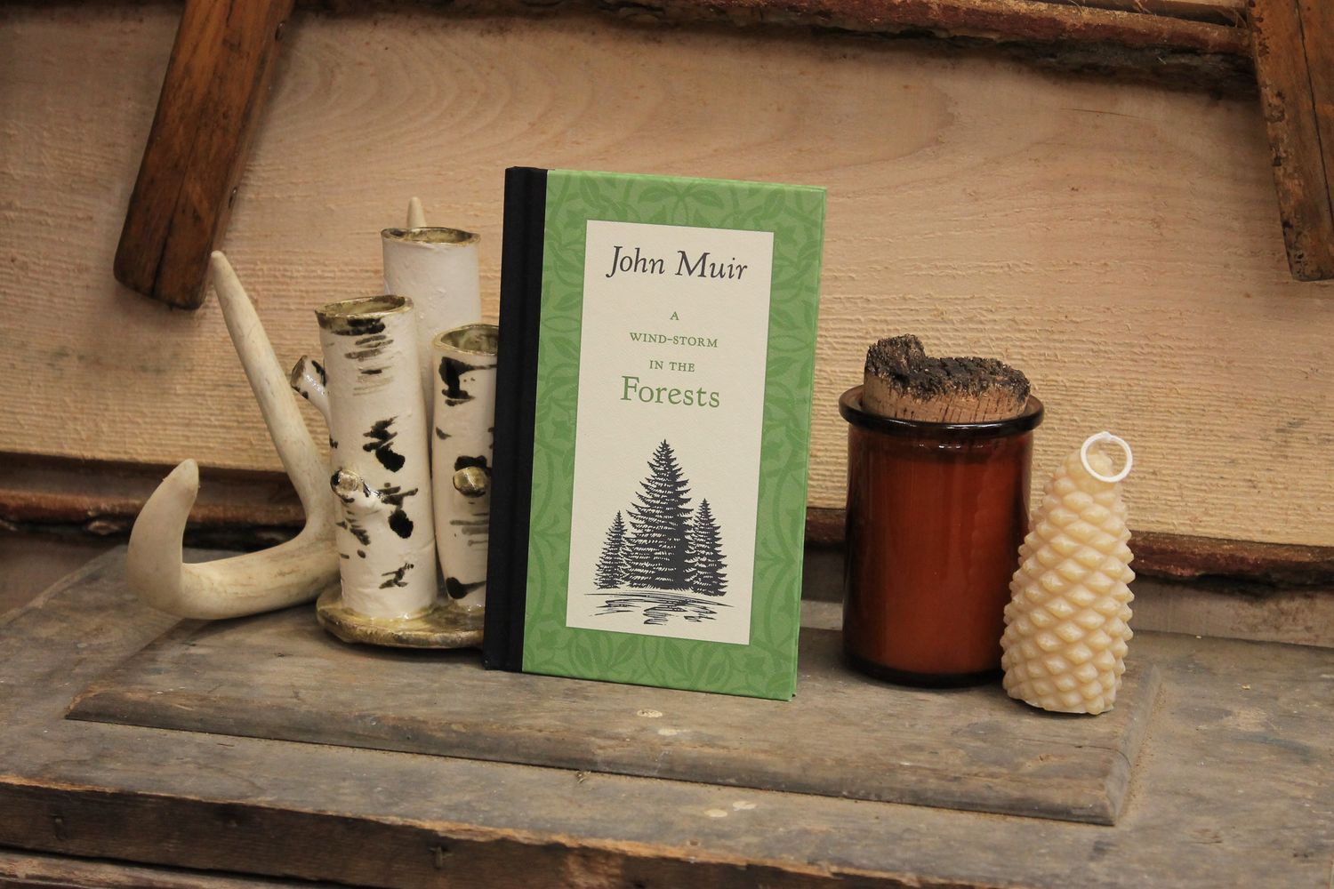 A Wind-Storm in the Forests by John Muir