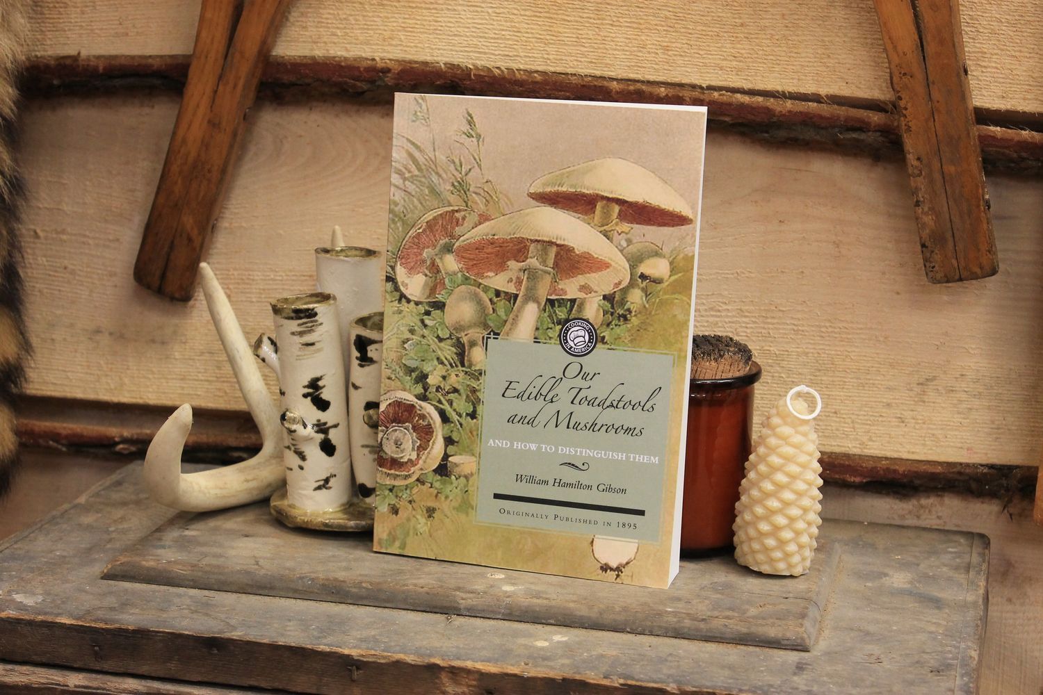 Our Edible Toadstools and Mushrooms and How to Distinguish Them by William Hamilton Gibson