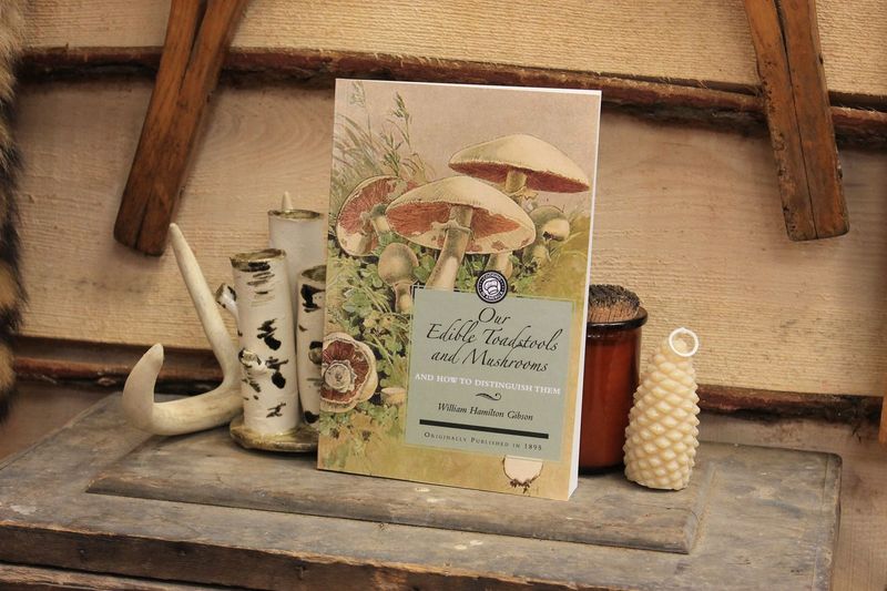Our Edible Toadstools and Mushrooms and How to Distinguish Them by William Hamilton Gibson