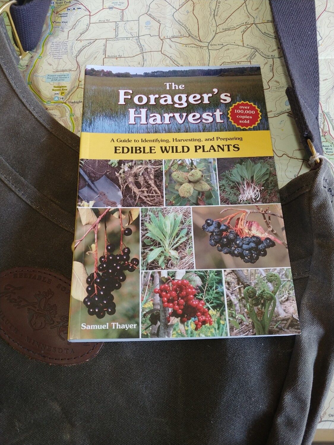The Forager&#39;s Harvest: A Guide to Identifying, Harvesting, and Preparing Edible Wild Plants by Samuel Thayer