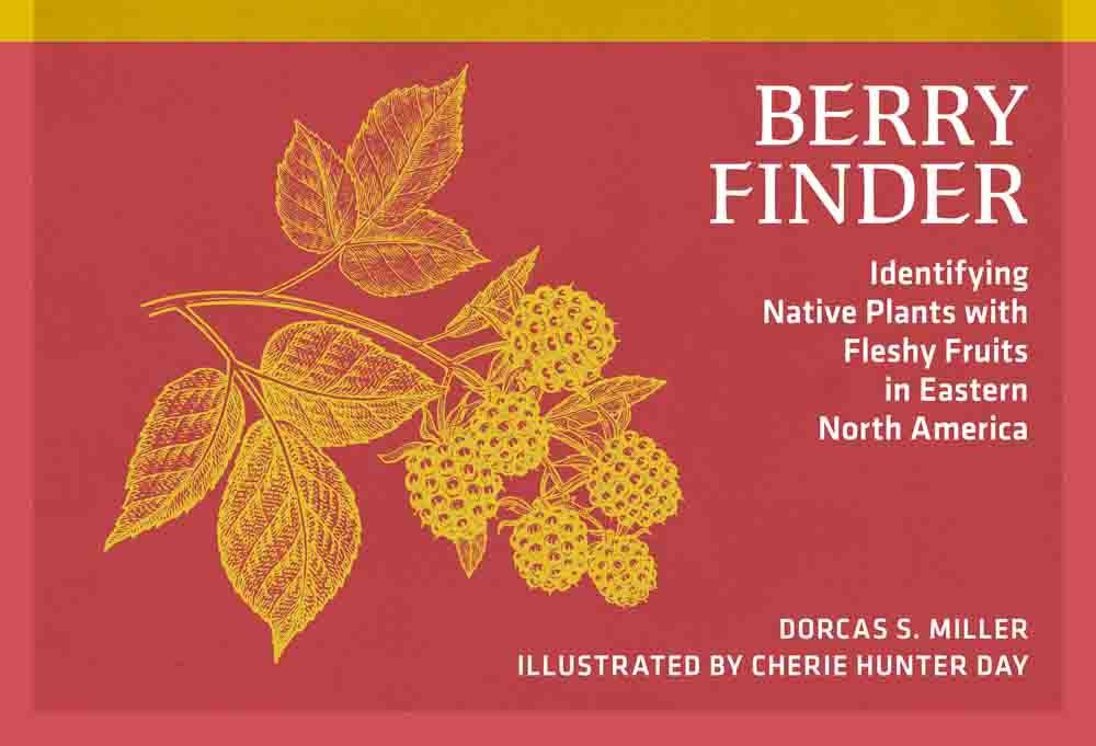 Berry Finder by Dorcas Miller