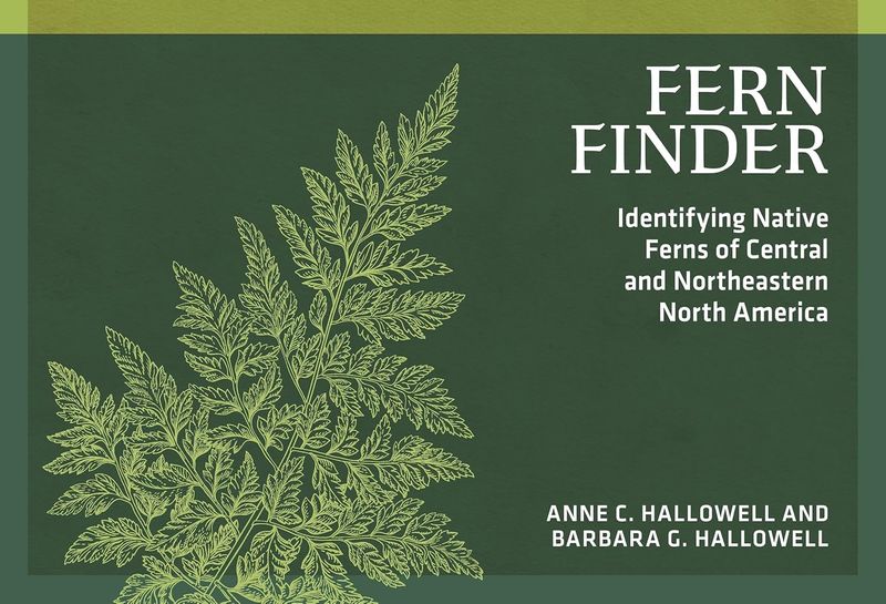 Fern Finder by Anne C. Hallowell and Barbara G. Hallowell