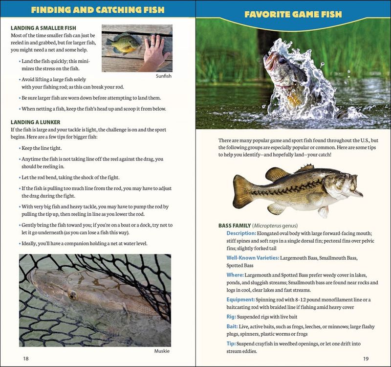 Freshwater Fishing Quick Guide by Dave Bosanko