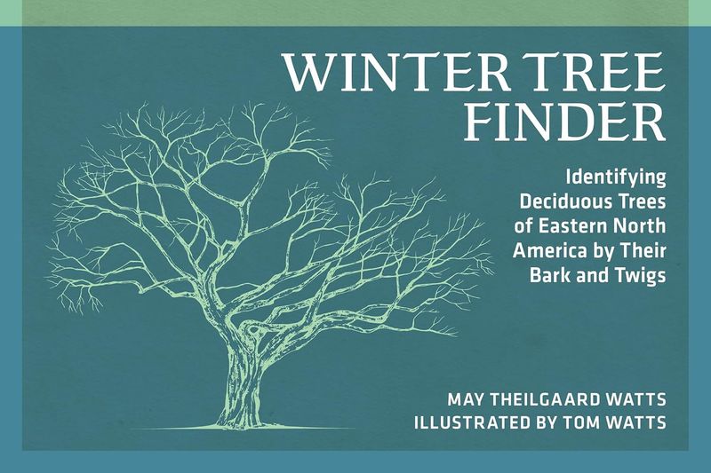 Winter Tree Finder by May Thielgaard Watts and Tom Watts