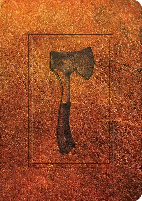 Hatchet by Gary Paulsen 30th Anniversary Edition