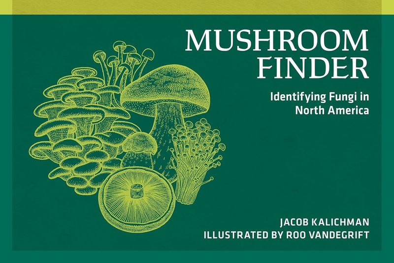 Mushroom Finder by Jacob Kalichman