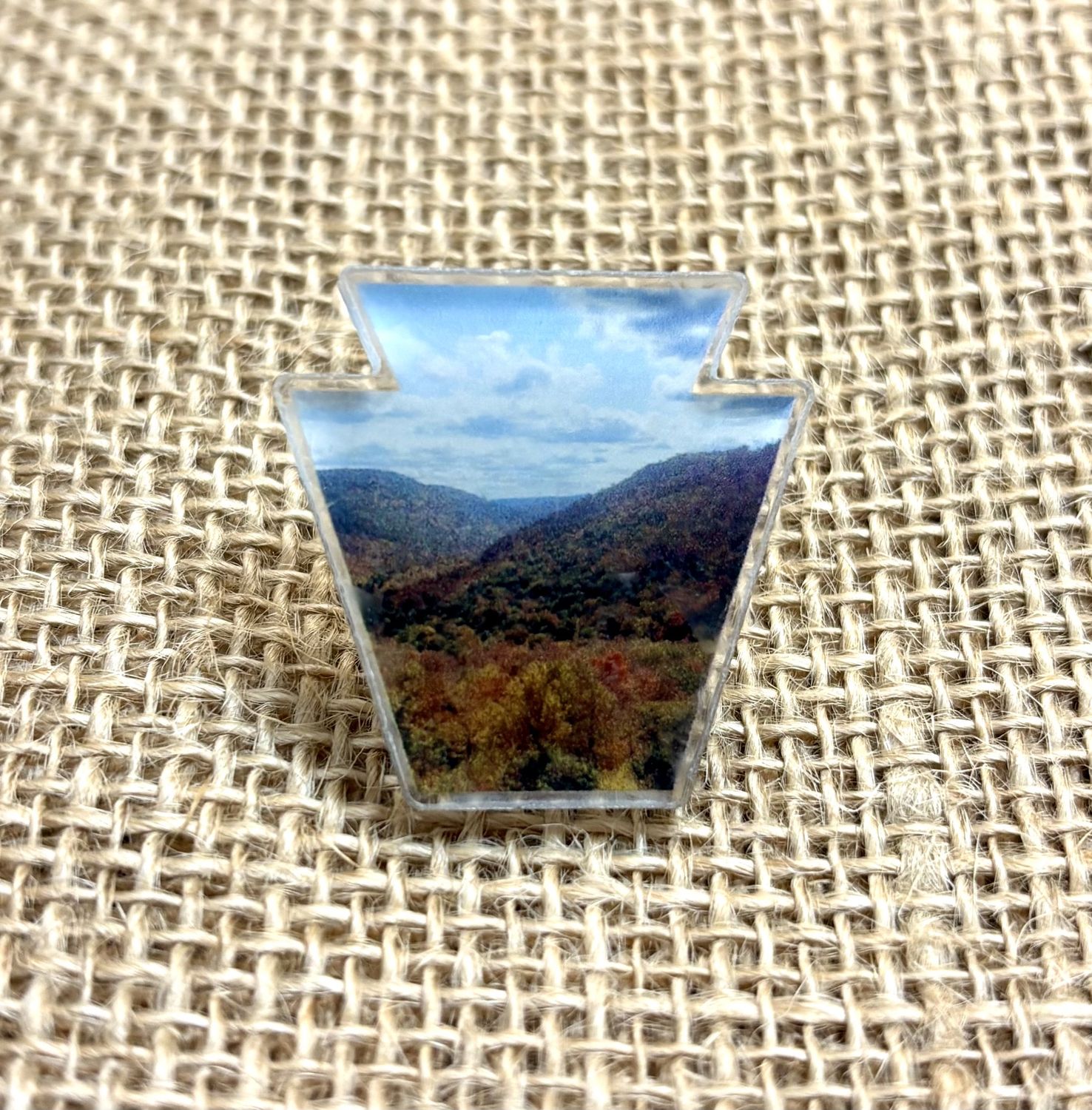 Pin, Acrylic; Keystone Foliage