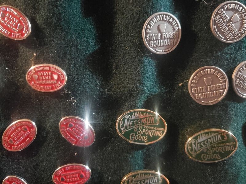 Pin, Metal, PA State Forest Boundary