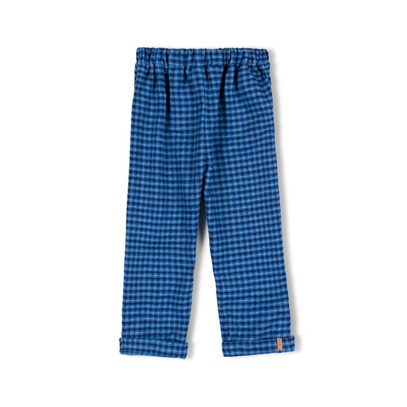 Checkered broek
