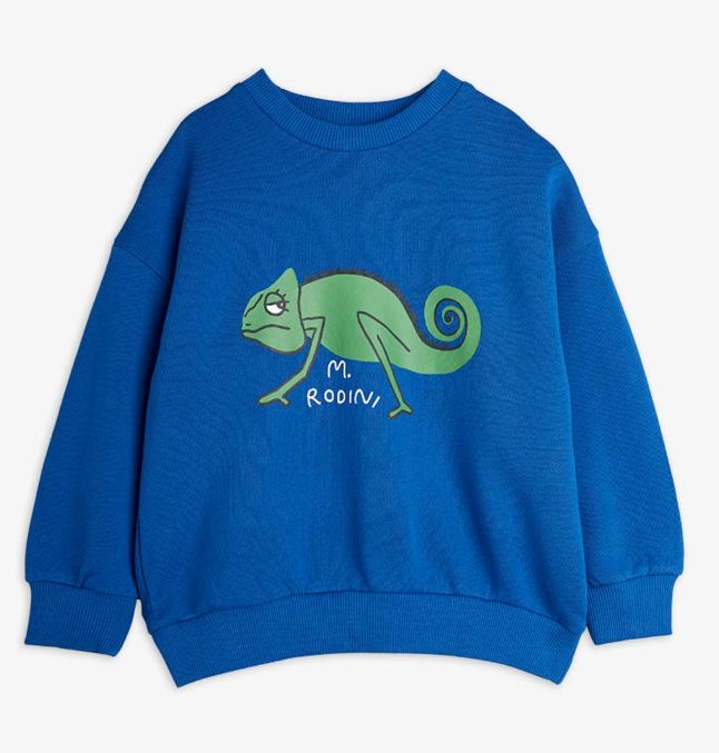 Lizard sweatshirt
