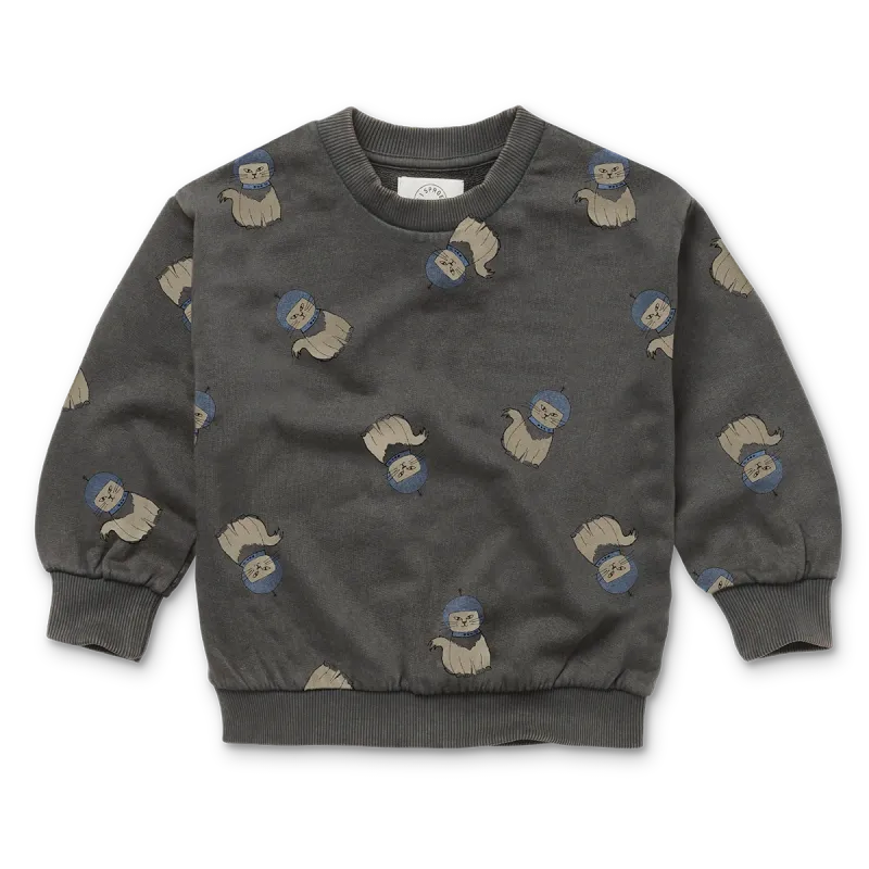 Space cat sweater mini