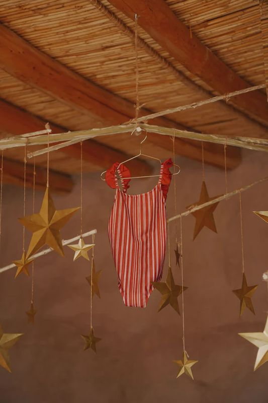 Streepje riad zwempak