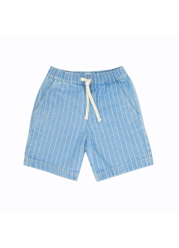 Indigo shorts