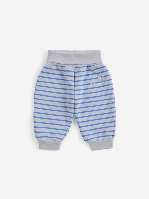 Jogging stripes purple