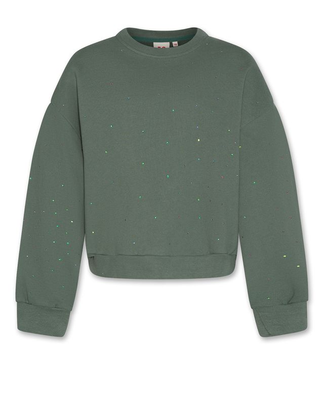 Noemi sweater strass