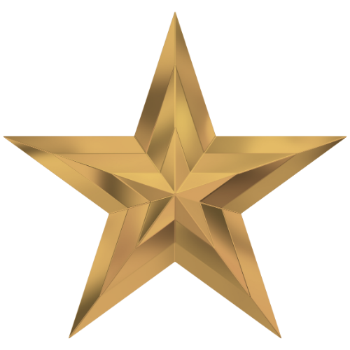 Gold Star Sponsor