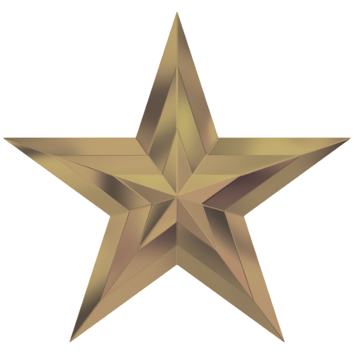 Bronze Star Sponsor