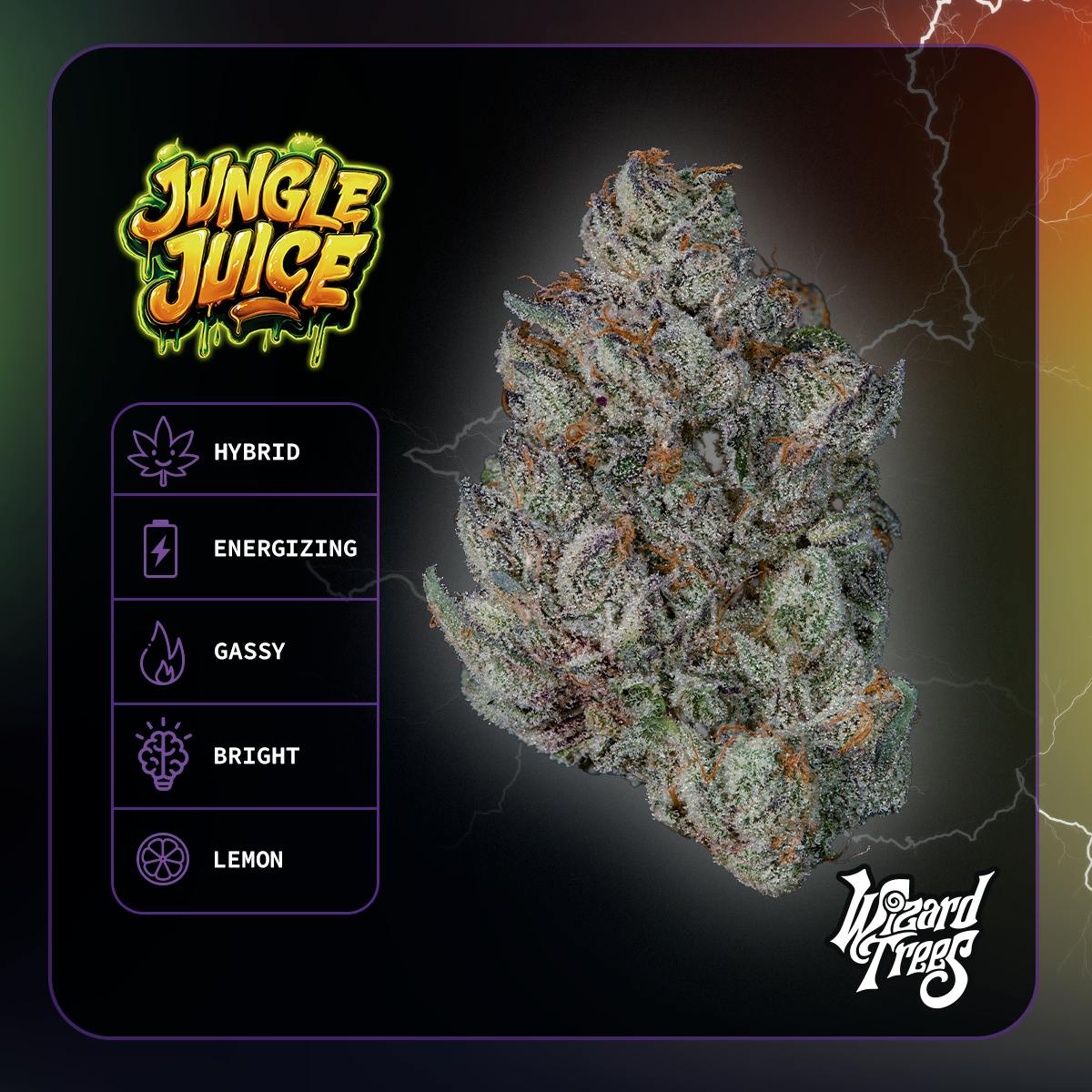 Wizard Trees | 3.5g Flower - Jungle Juice