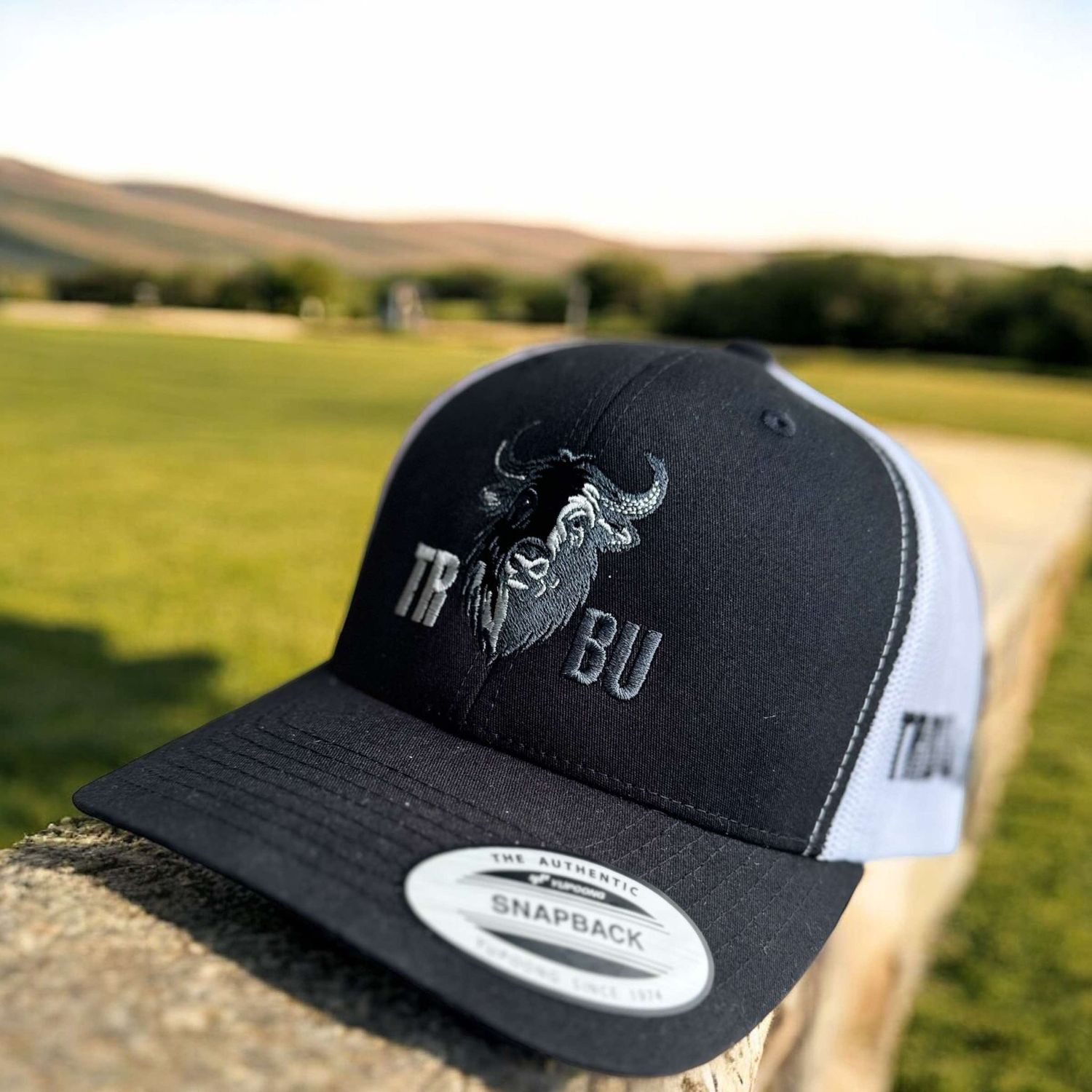 Noire et blanche &#39;&#39;La Zen&#39;&#39;