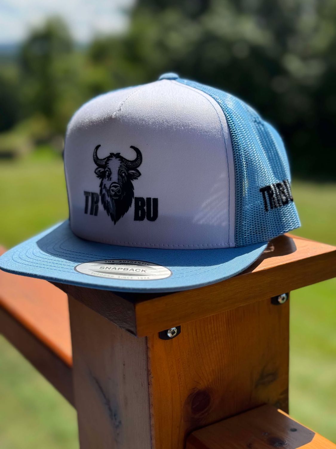 Ciel sans nuage &#39;&#39; Edition special&#39;&#39;