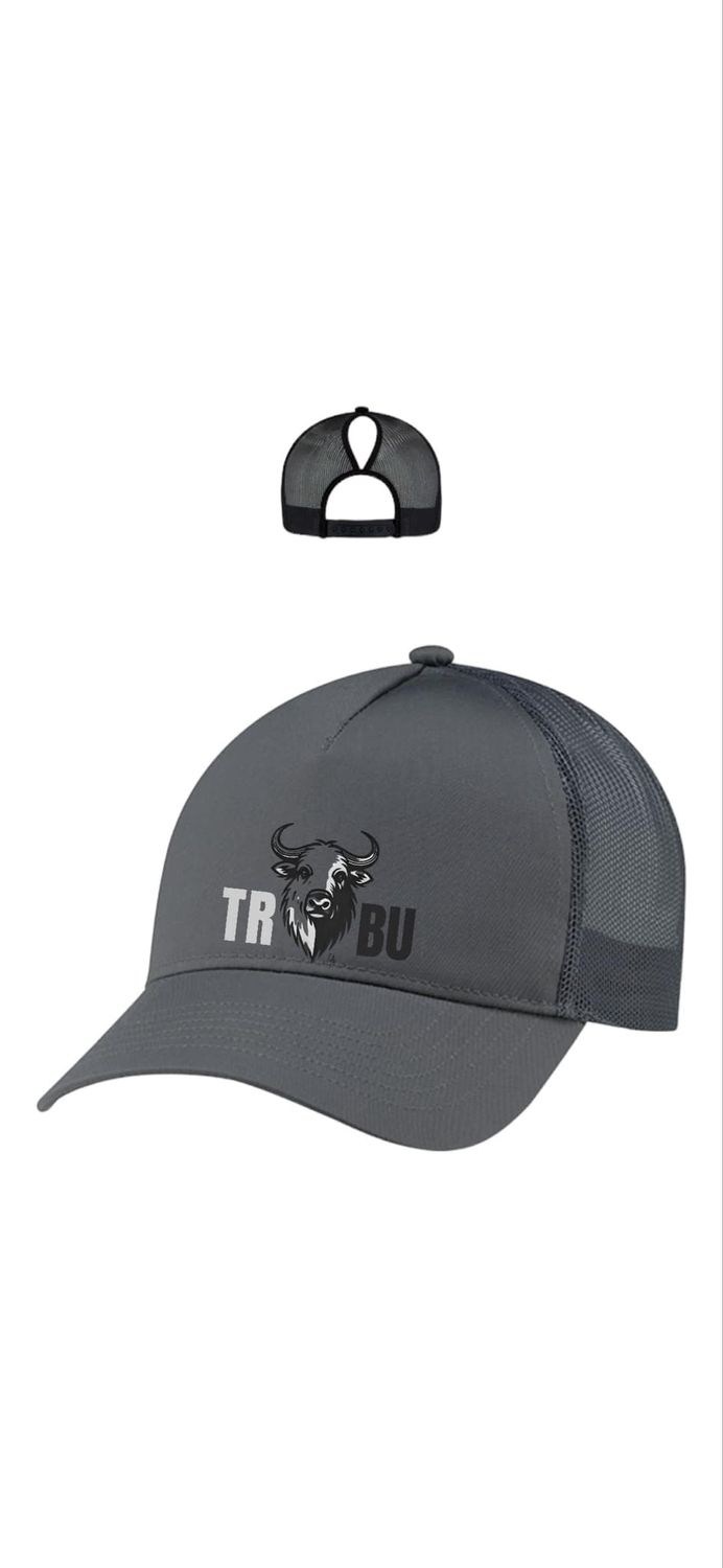 La Roche trouée &#39;&#39; Edition spécial&#39;&#39;