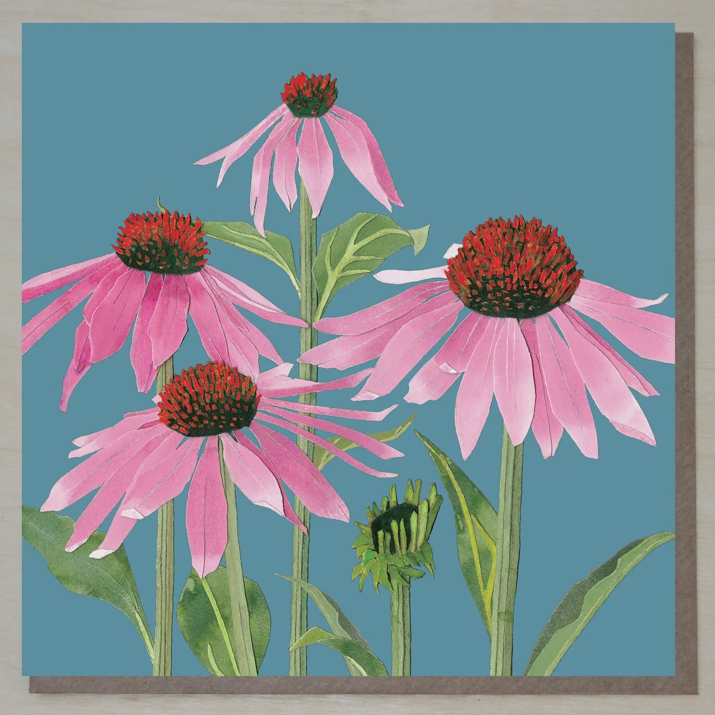 Echinacea Flower Card