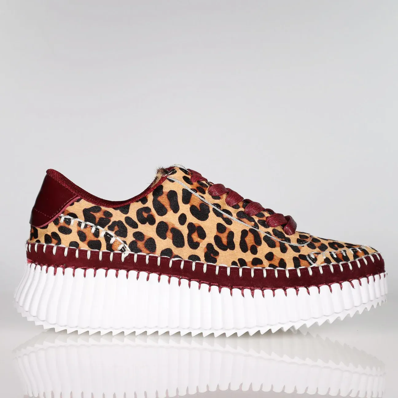 Rizzo - Bordo Leopard Pony