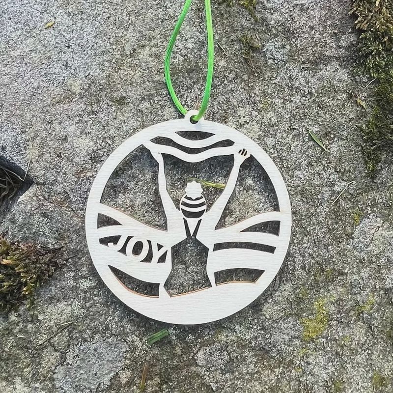 Wild Swimming Wooden Bauble - Multi