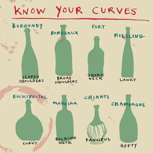 Greeting Card - Know Your Curves