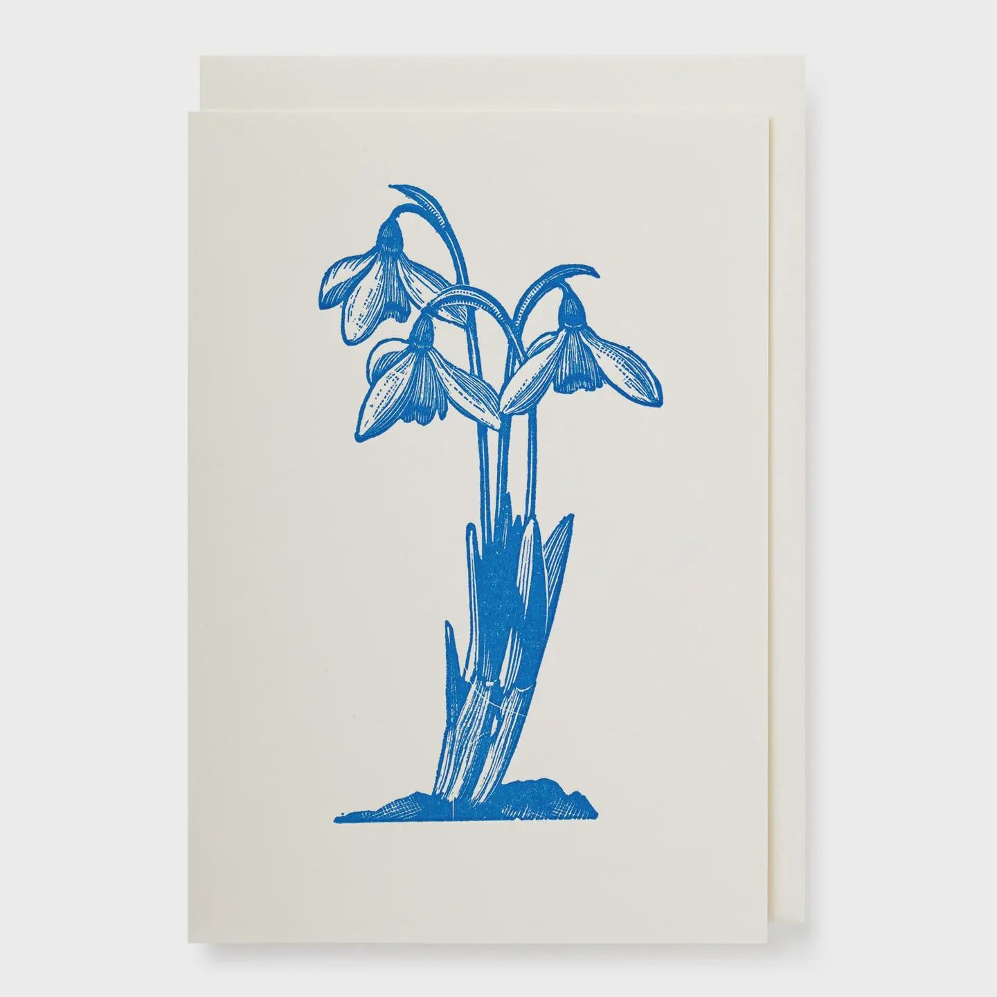 Small Greeting Card - Snowdrops