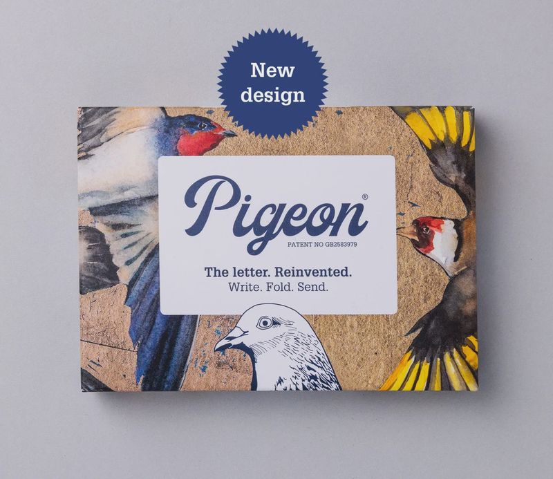 Pigeon Letter 6 Pack - Golden Flight