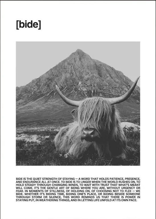 Bide Definition Art A4 - Unframed