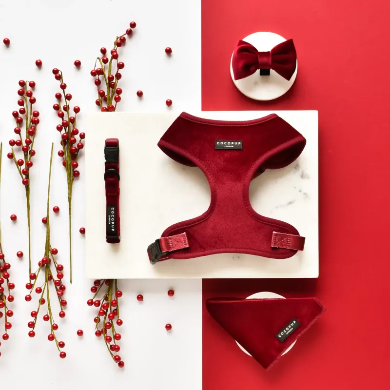 Luxe Velvet Collar - Berry Red