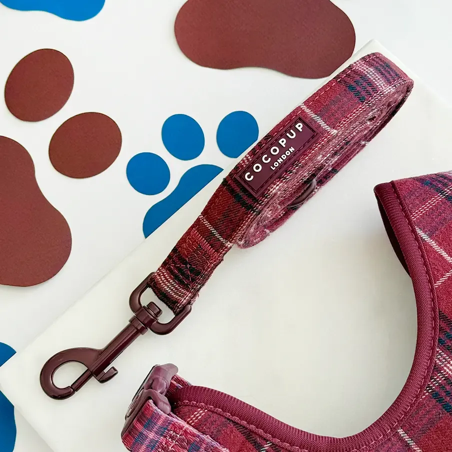 Mulberry Plaid Lead