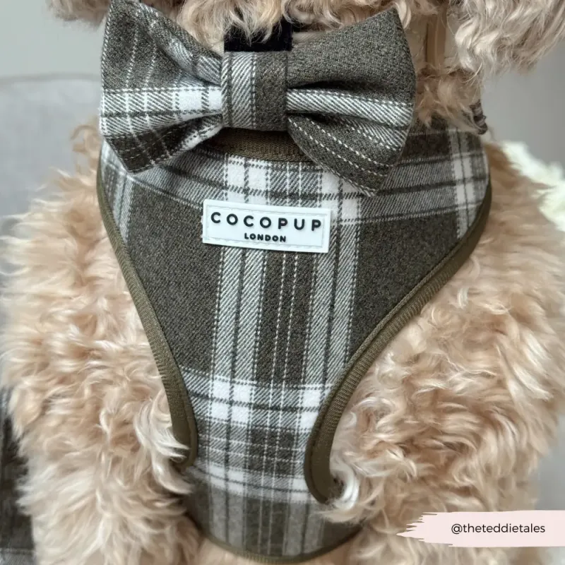 Olive Check Bow Tie