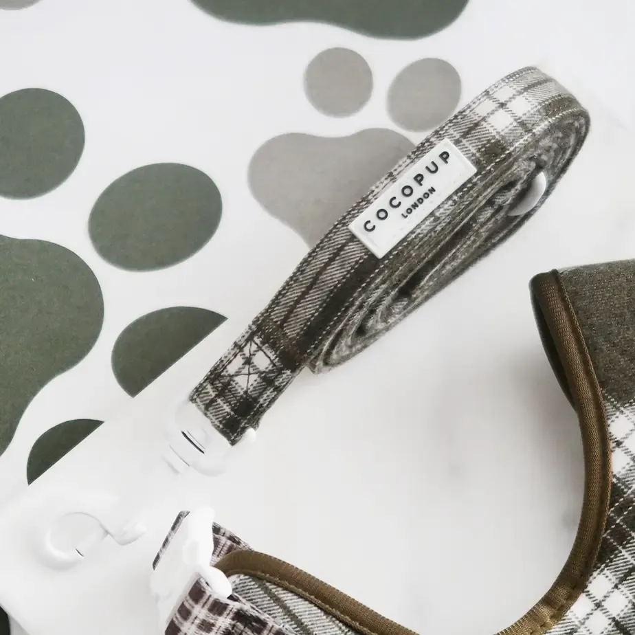 Olive Check Lead