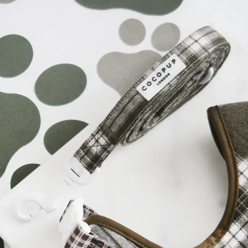 Olive Check Lead