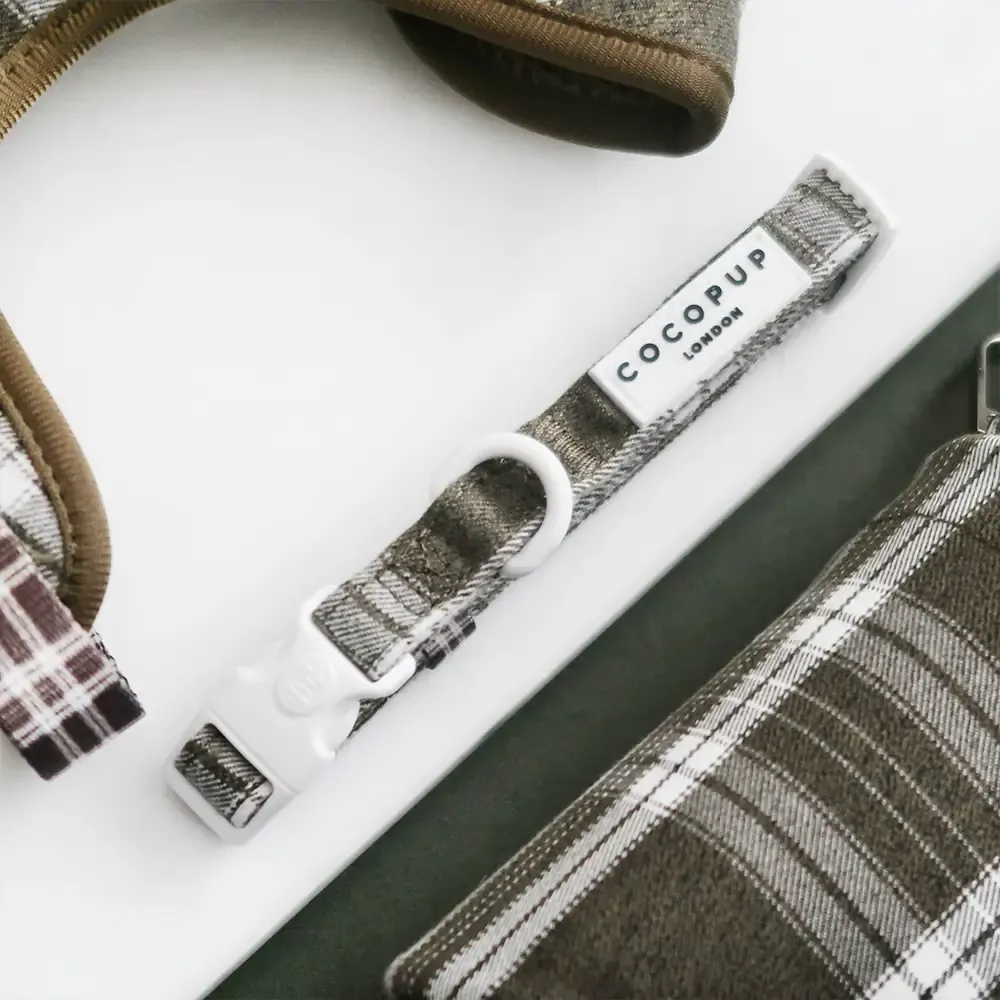 Olive Check Collar