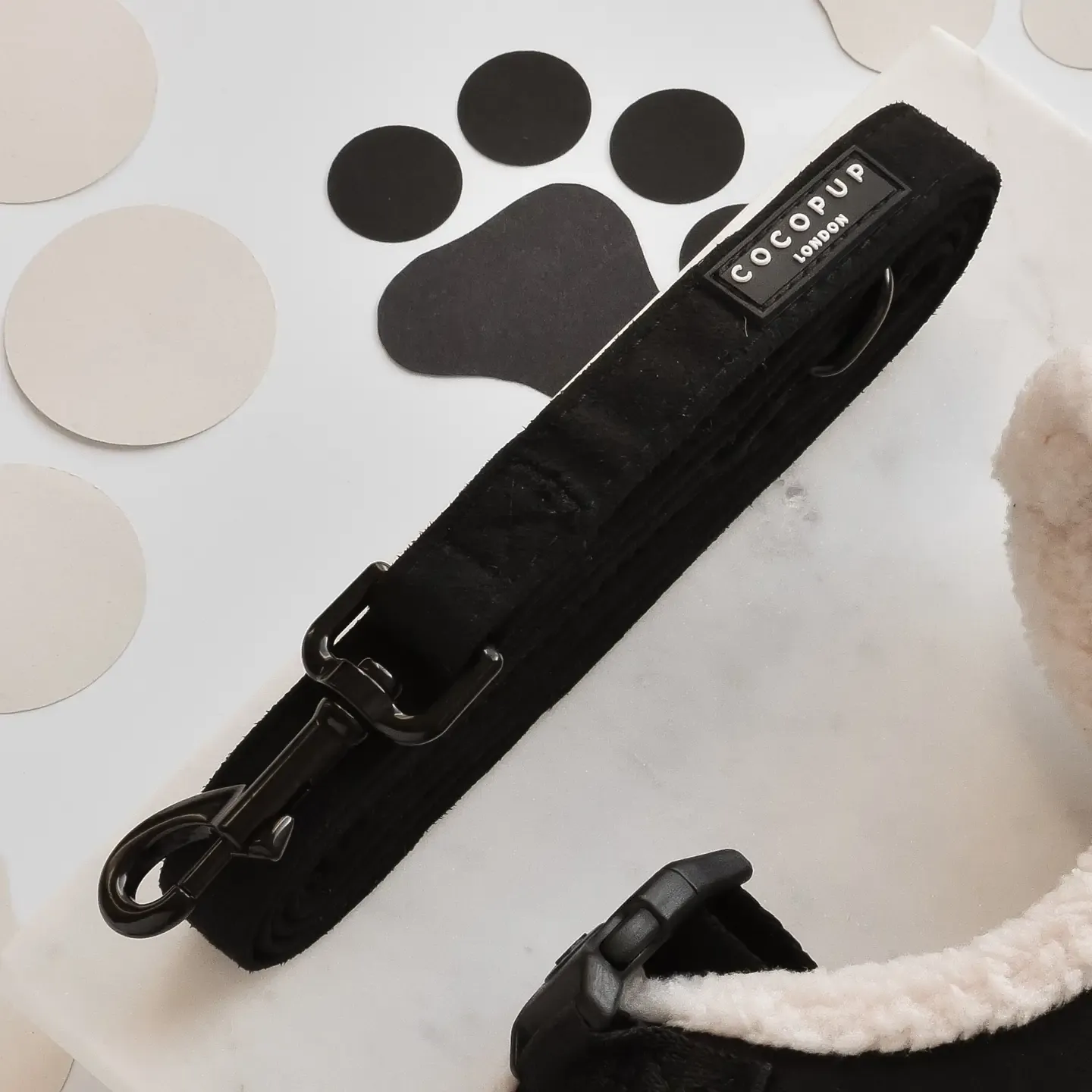 Black Aviator Lead