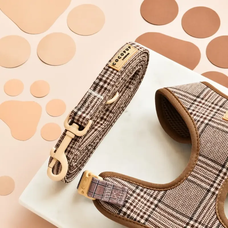 Pup Plaid Lead