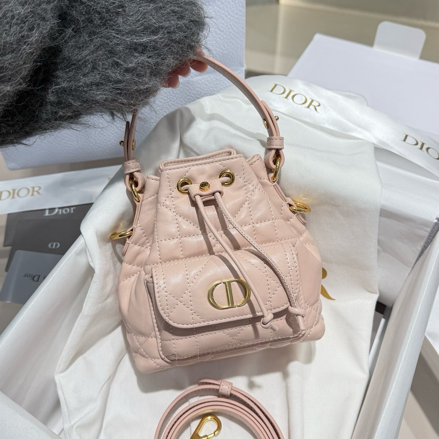 Bag Dior