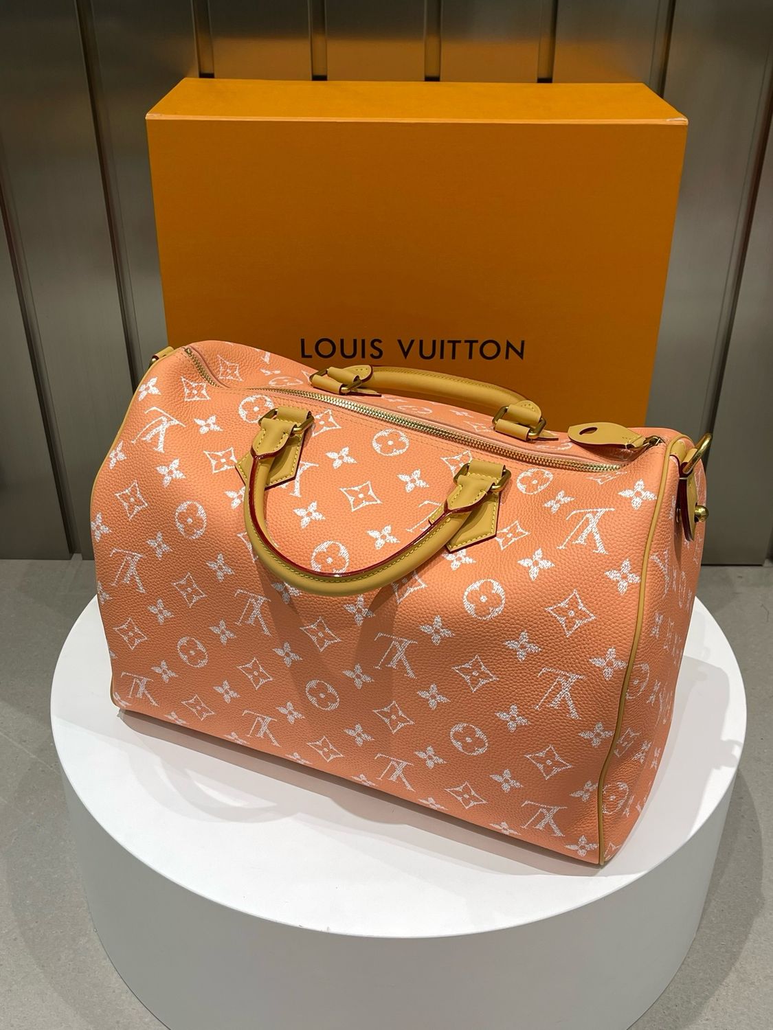 Bag Louis Vuitton