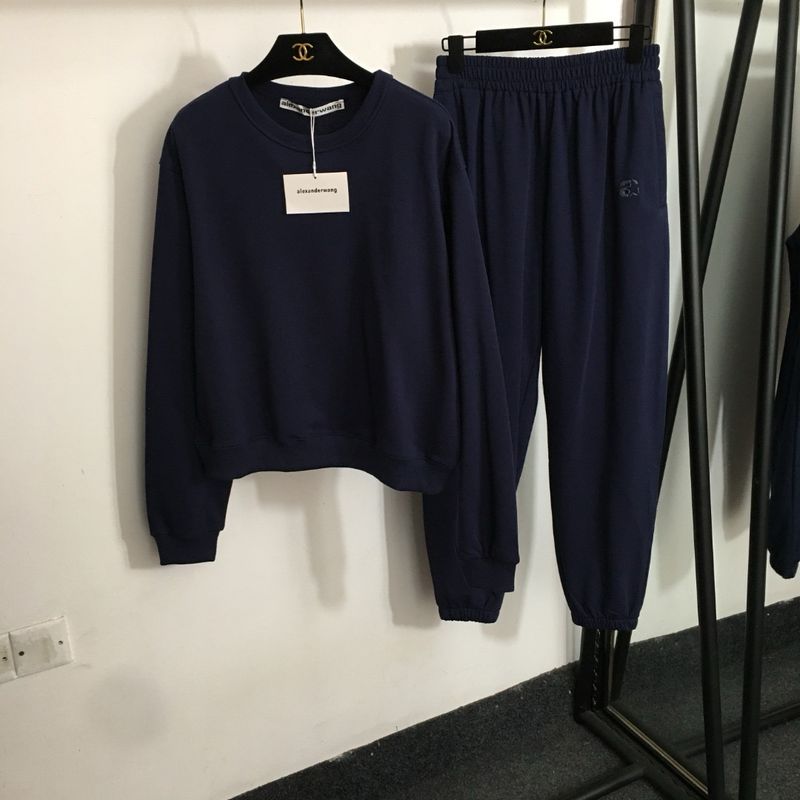 Costume Alexander Wang